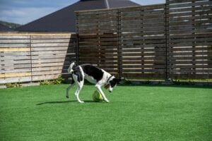 EMRbuilds Artificial Grass Services